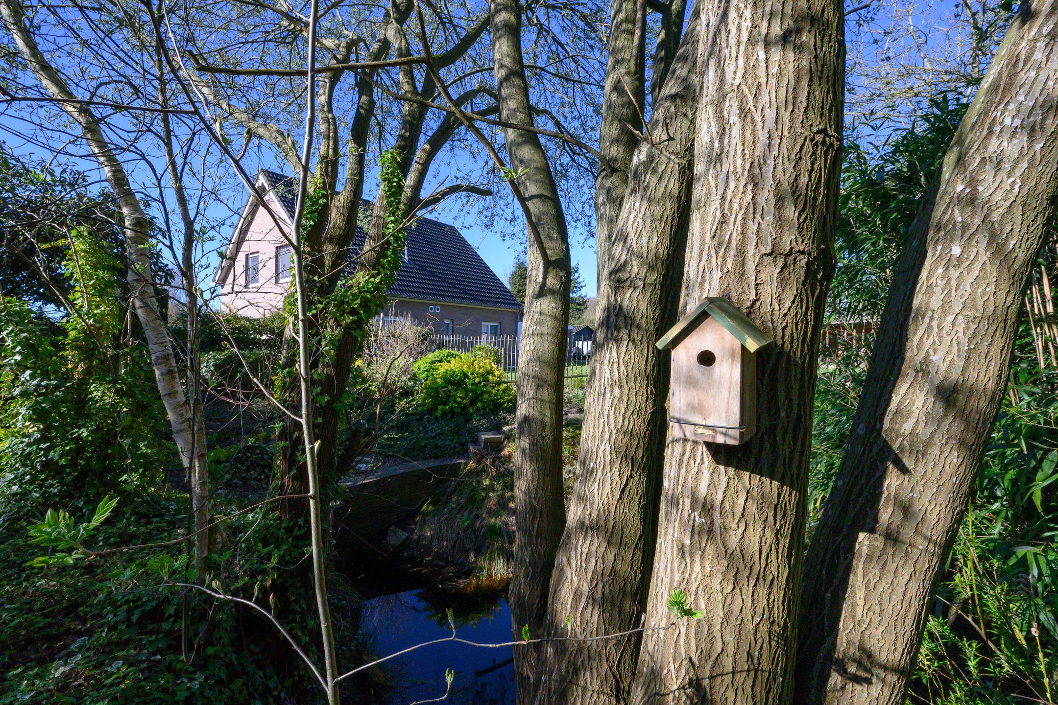 Foto 3 van Knoevenoordstraat 2