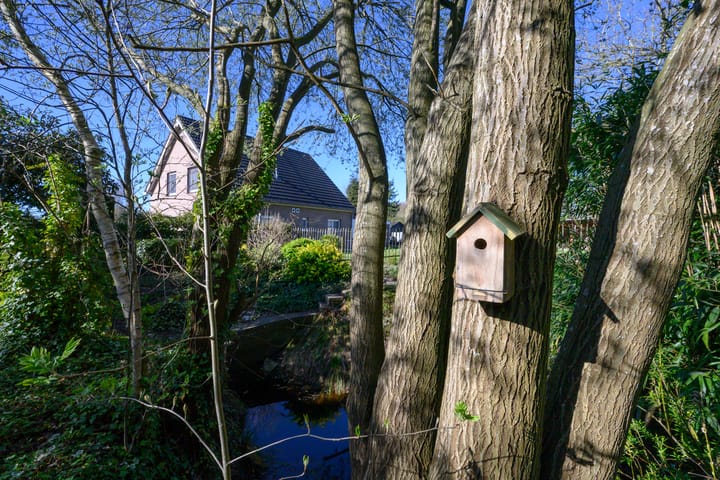 Foto 3 van Knoevenoordstraat 2