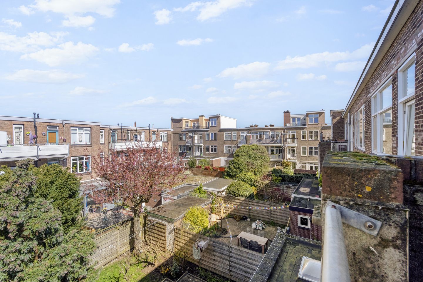 Photo 40 of Mient 23