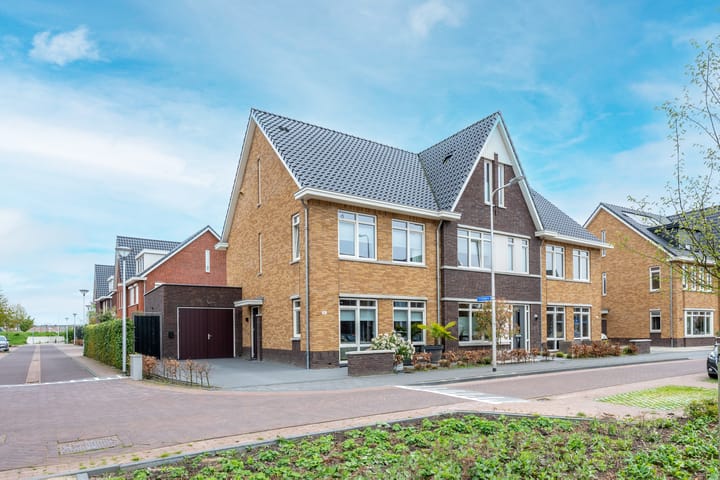 Photo 2 of Kamgras 163