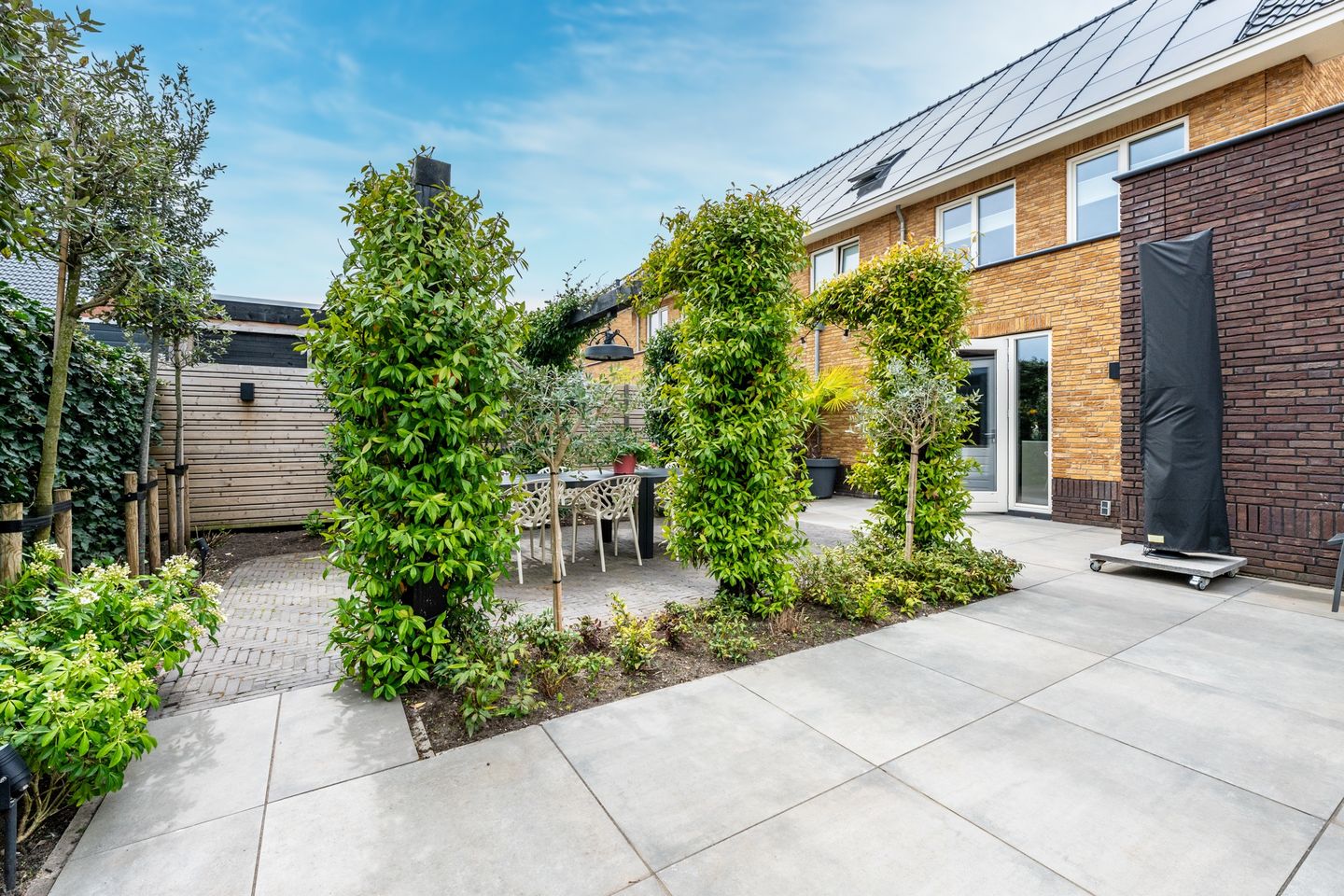 Photo 19 of Kamgras 163