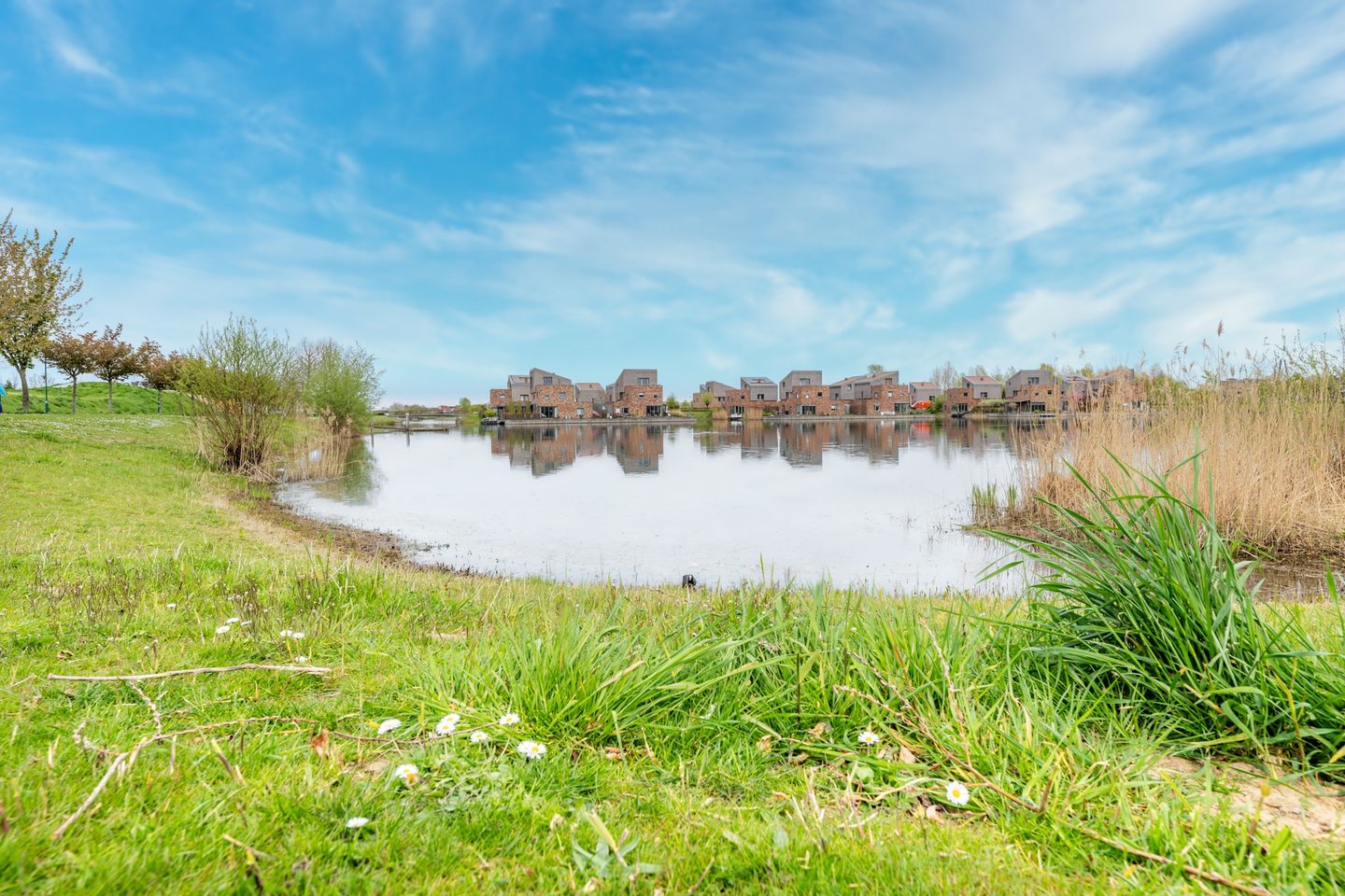 Photo 49 of Kamgras 163