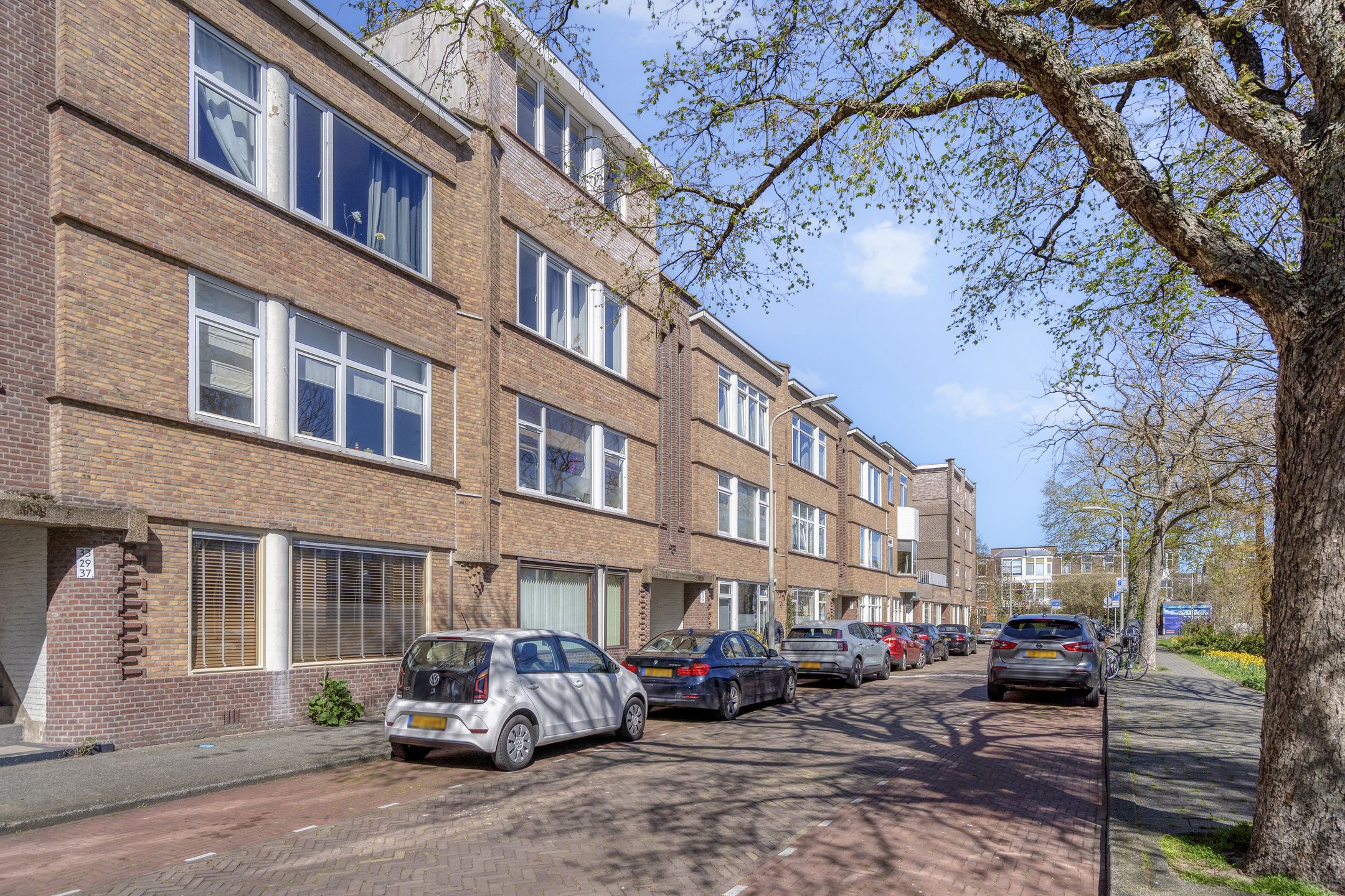 Photo 45 of Mient 23