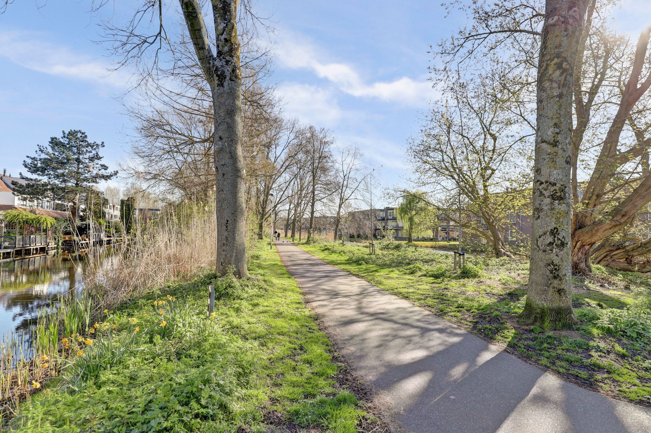 Foto 27 van Terwenstraat 3