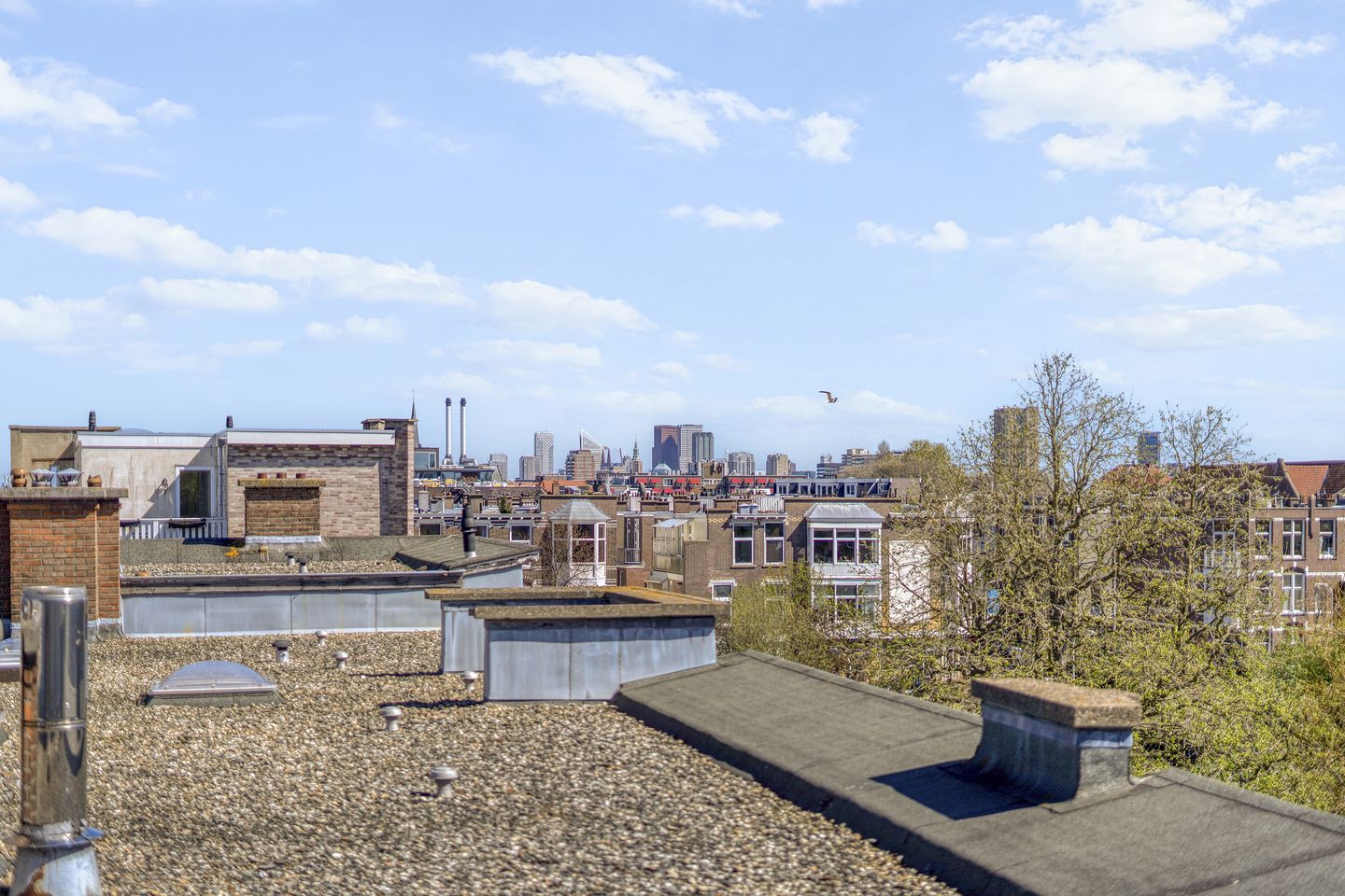 Photo 19 of Mient 23