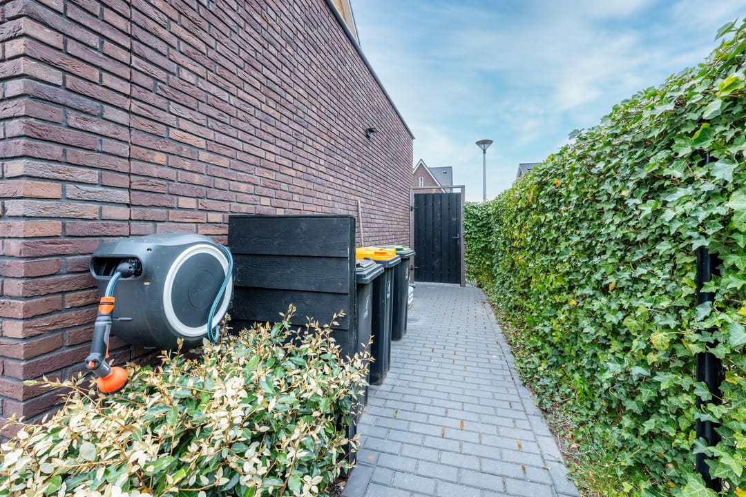 Photo 23 of Kamgras 163