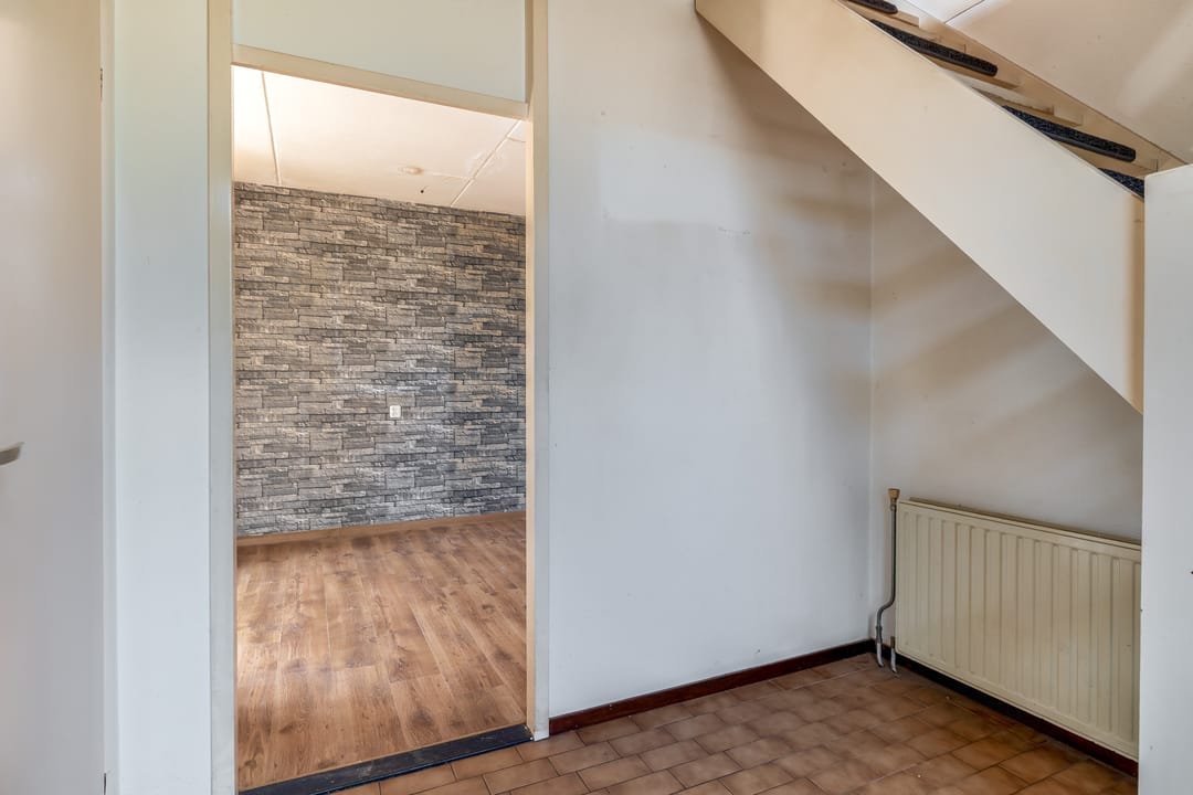 Photo 8 of Oesterzwam 11