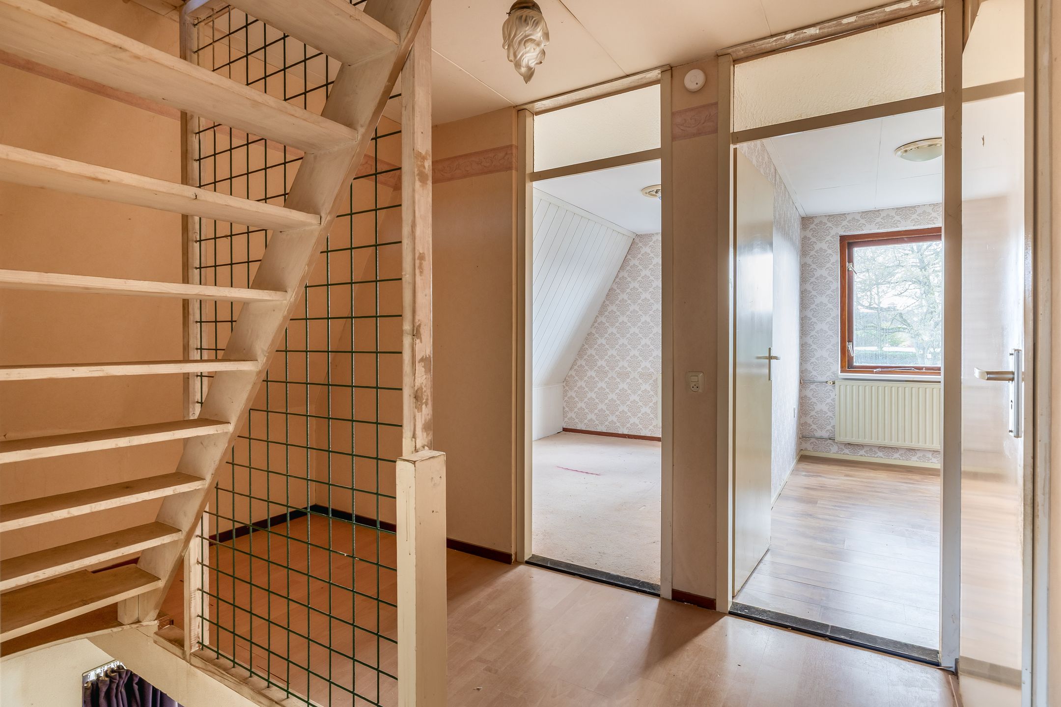 Photo 18 of Oesterzwam 11