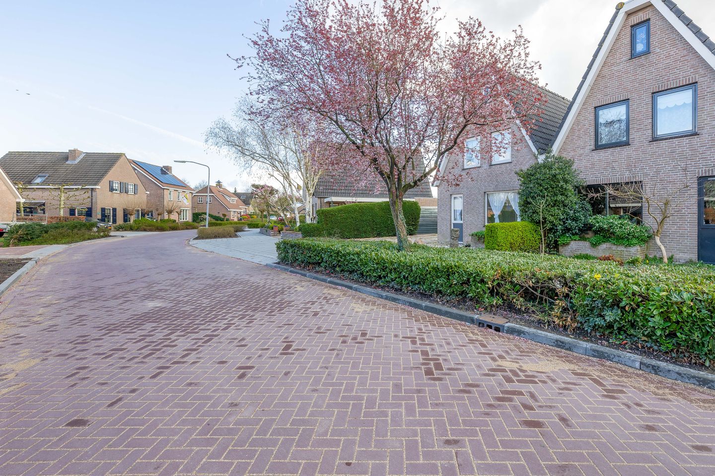 Photo 4 of Oesterzwam 11