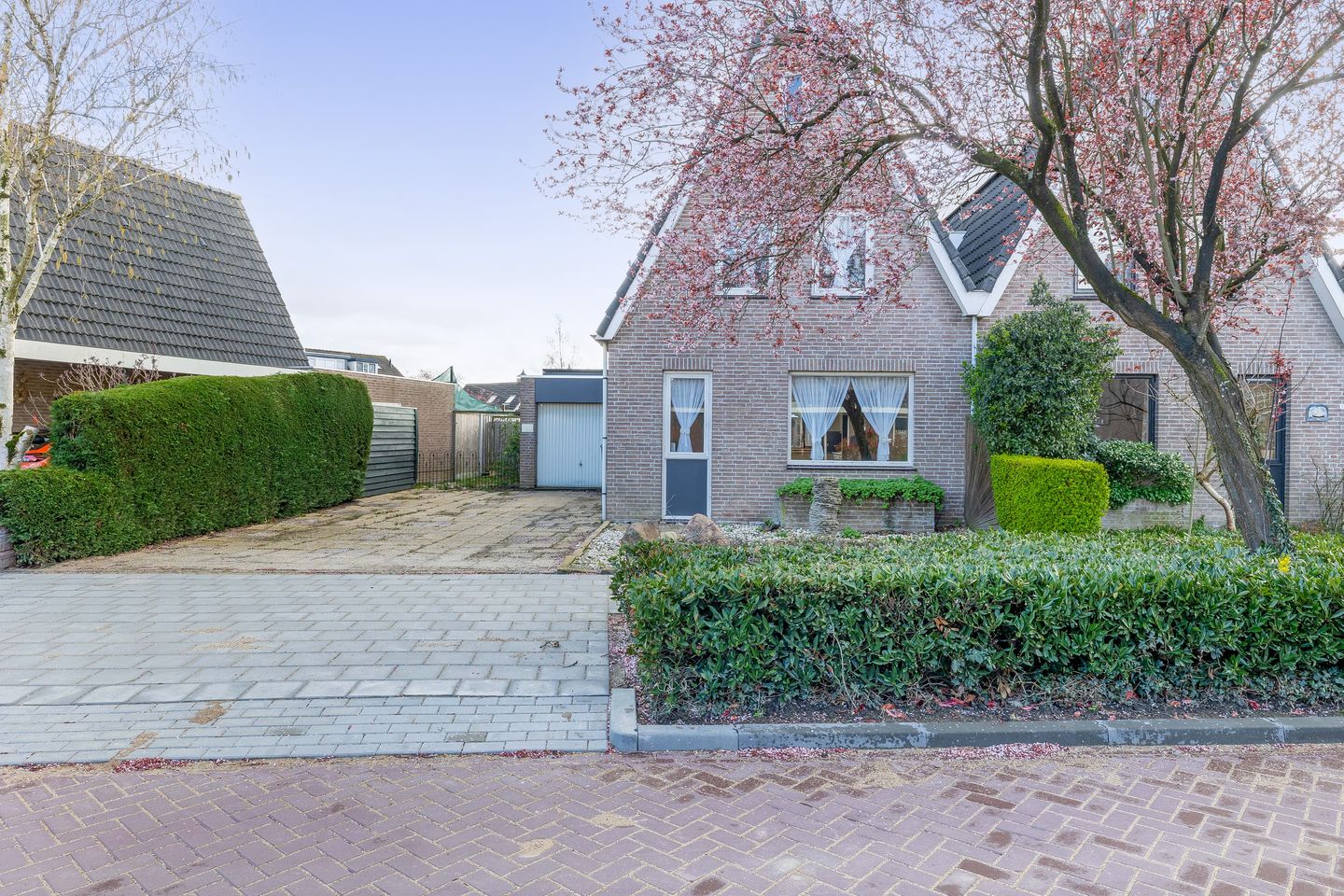 Photo 5 of Oesterzwam 11