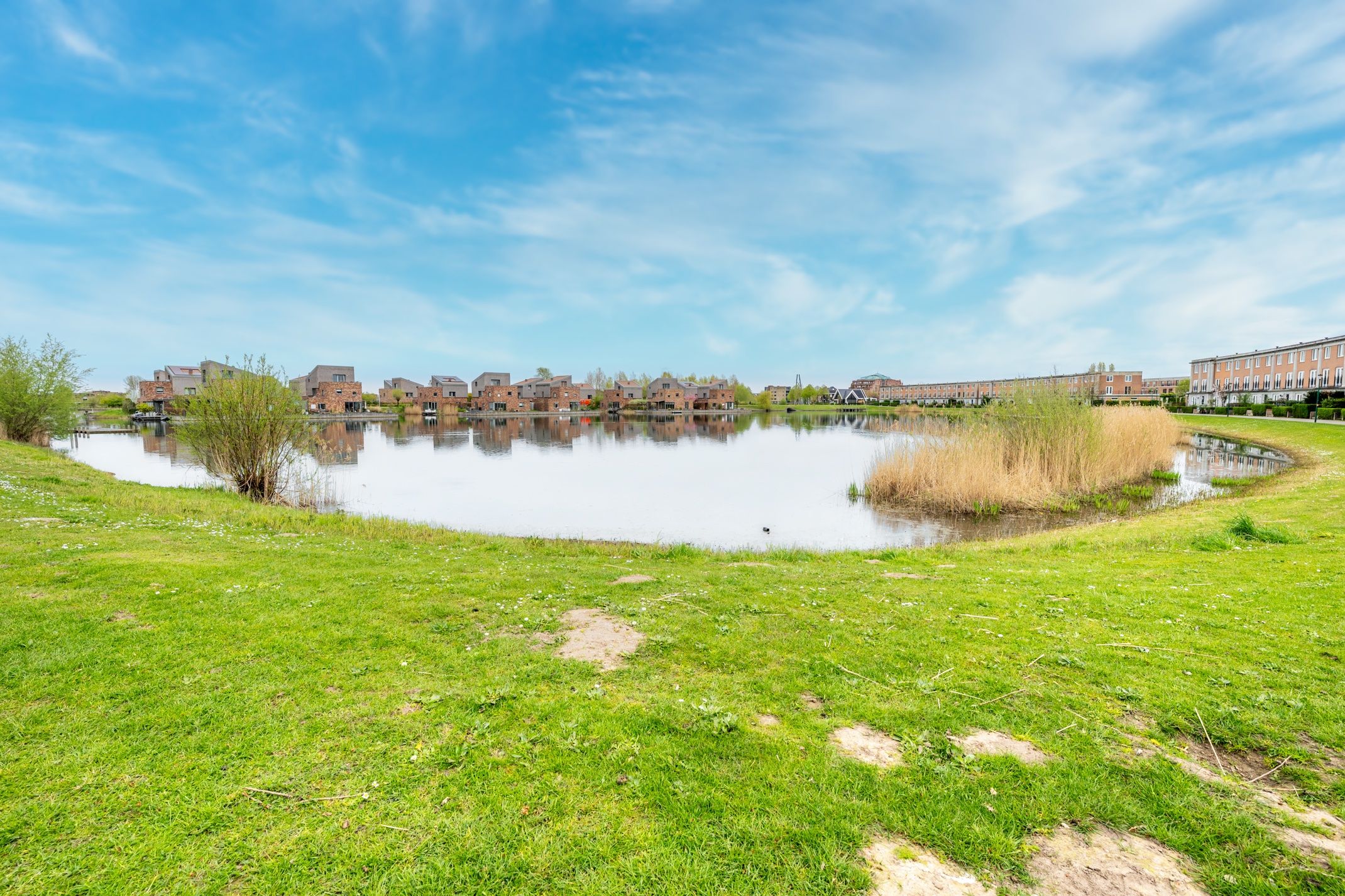 Photo 48 of Kamgras 163