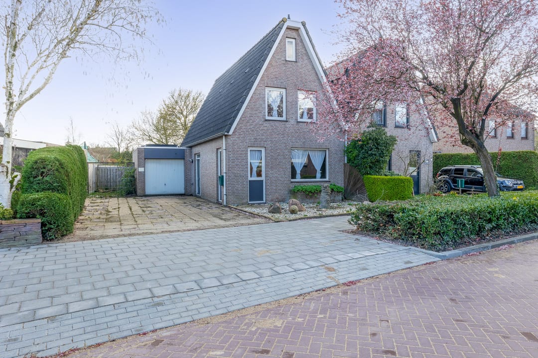 Photo 1 of Oesterzwam 11