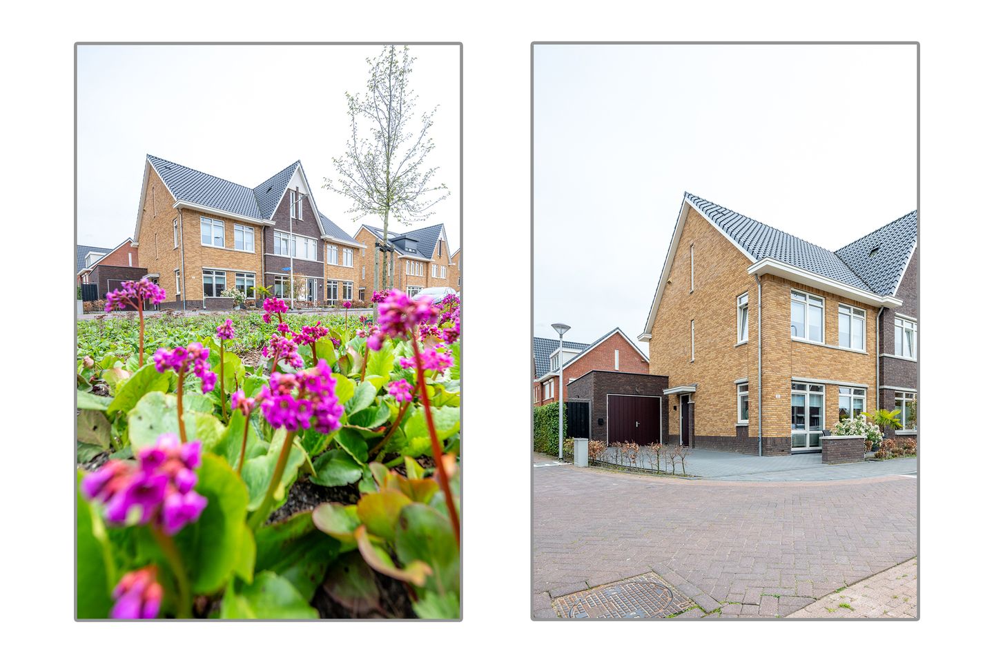 Photo 44 of Kamgras 163