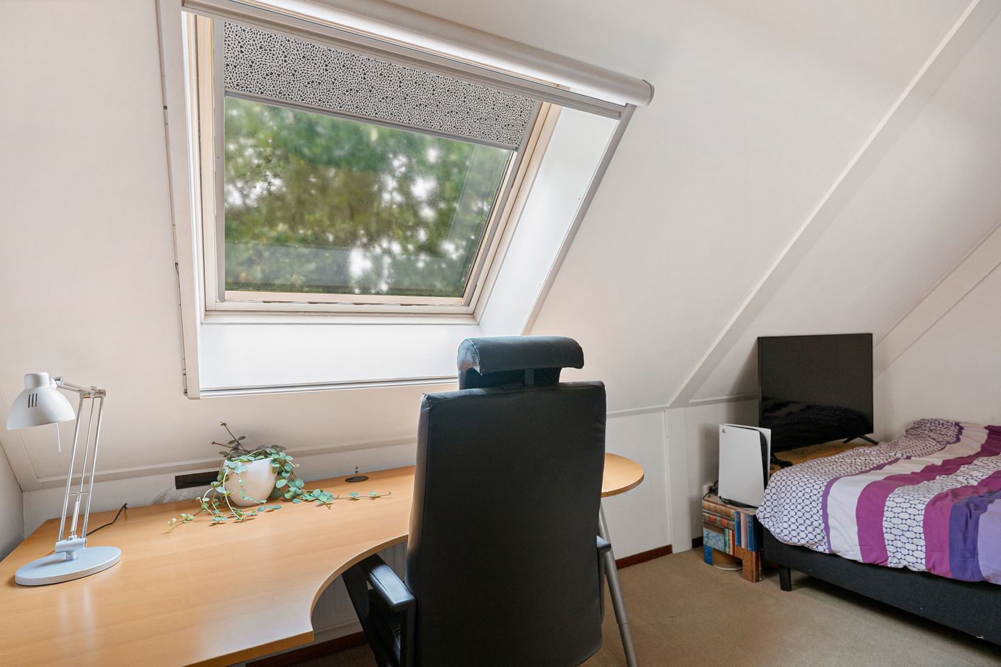 Foto 44 van Noord-Oosterweg 8