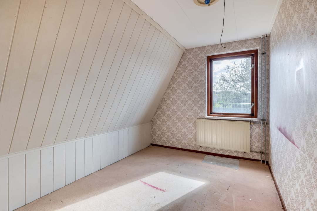 Photo 22 of Oesterzwam 11