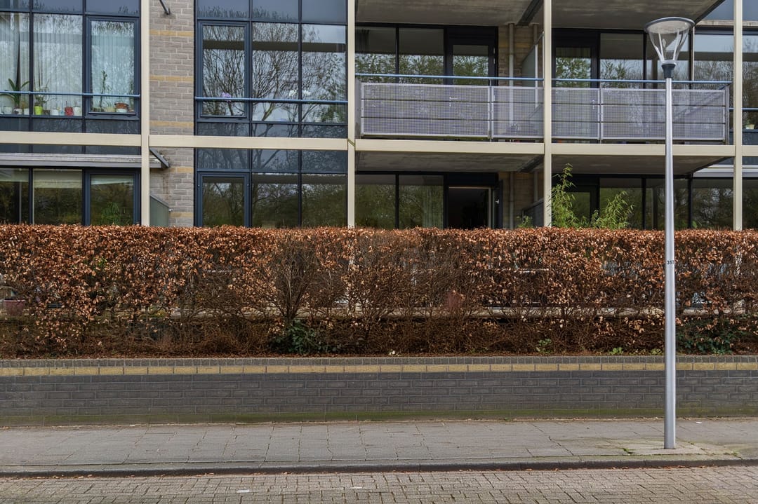 Photo 23 of Wageningseberg 102