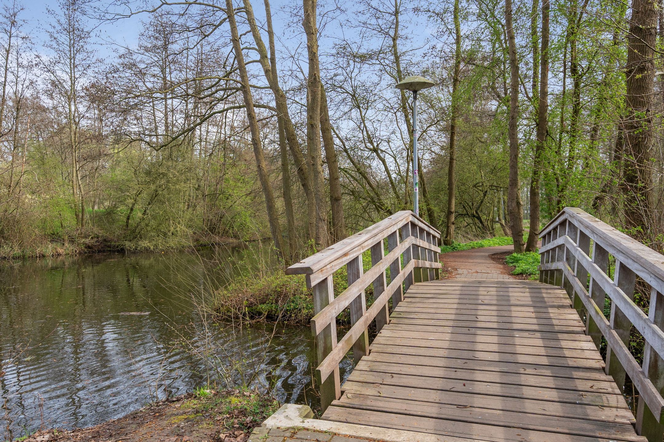 Photo 27 of Wageningseberg 102