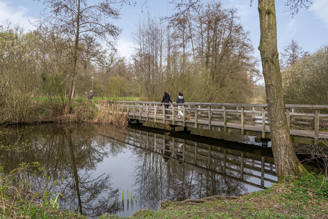 Photo 28 of Wageningseberg 102