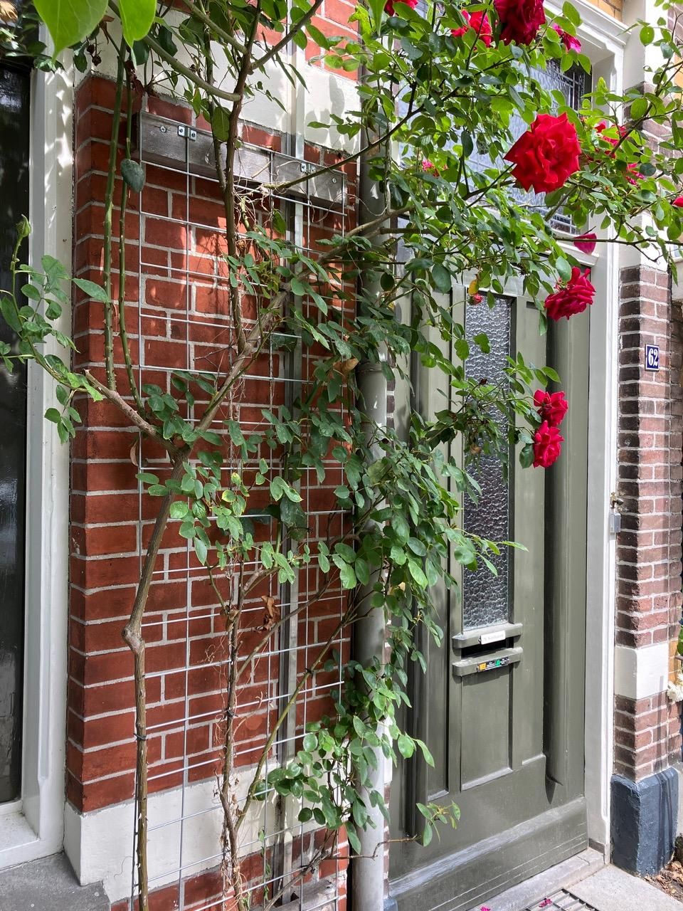 Photo 8 of Schimmelpenninckstraat 62