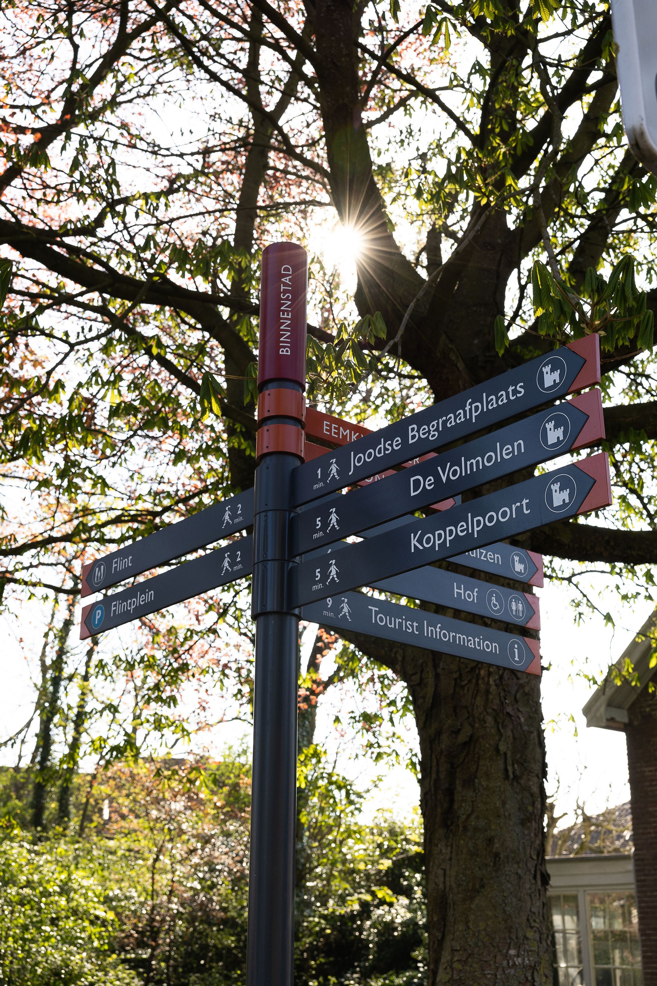 Photo 66 of Schimmelpenninckstraat 62