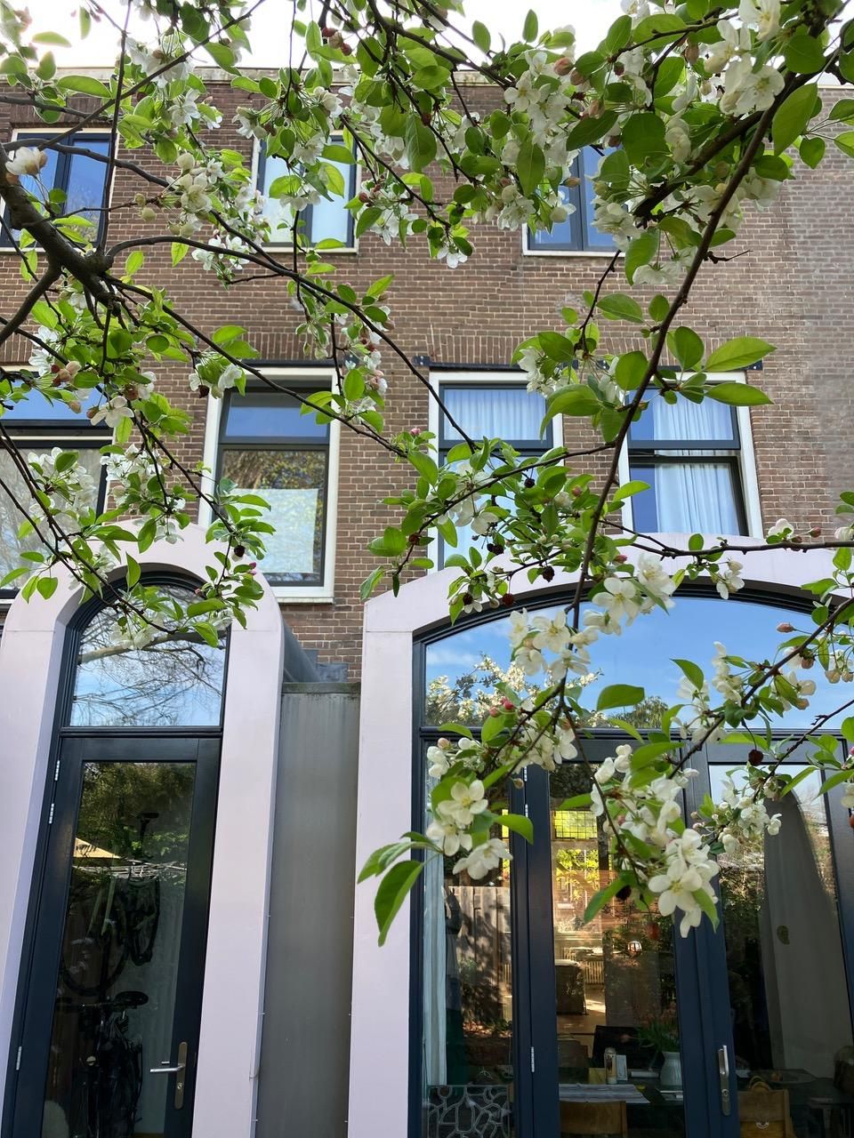 Photo 27 of Schimmelpenninckstraat 62