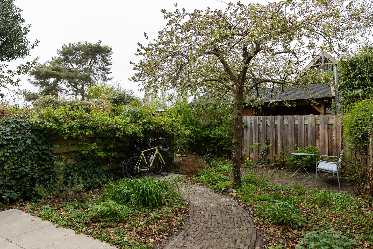 Photo 29 of Schimmelpenninckstraat 62