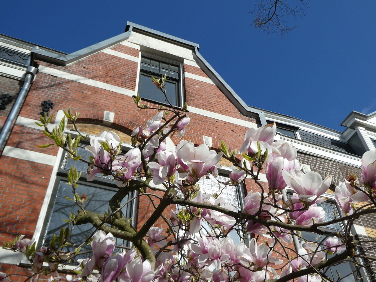 Photo 6 of Schimmelpenninckstraat 62