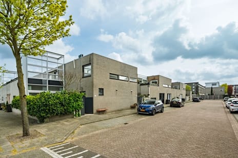 Willem Walravenhove thumbnail