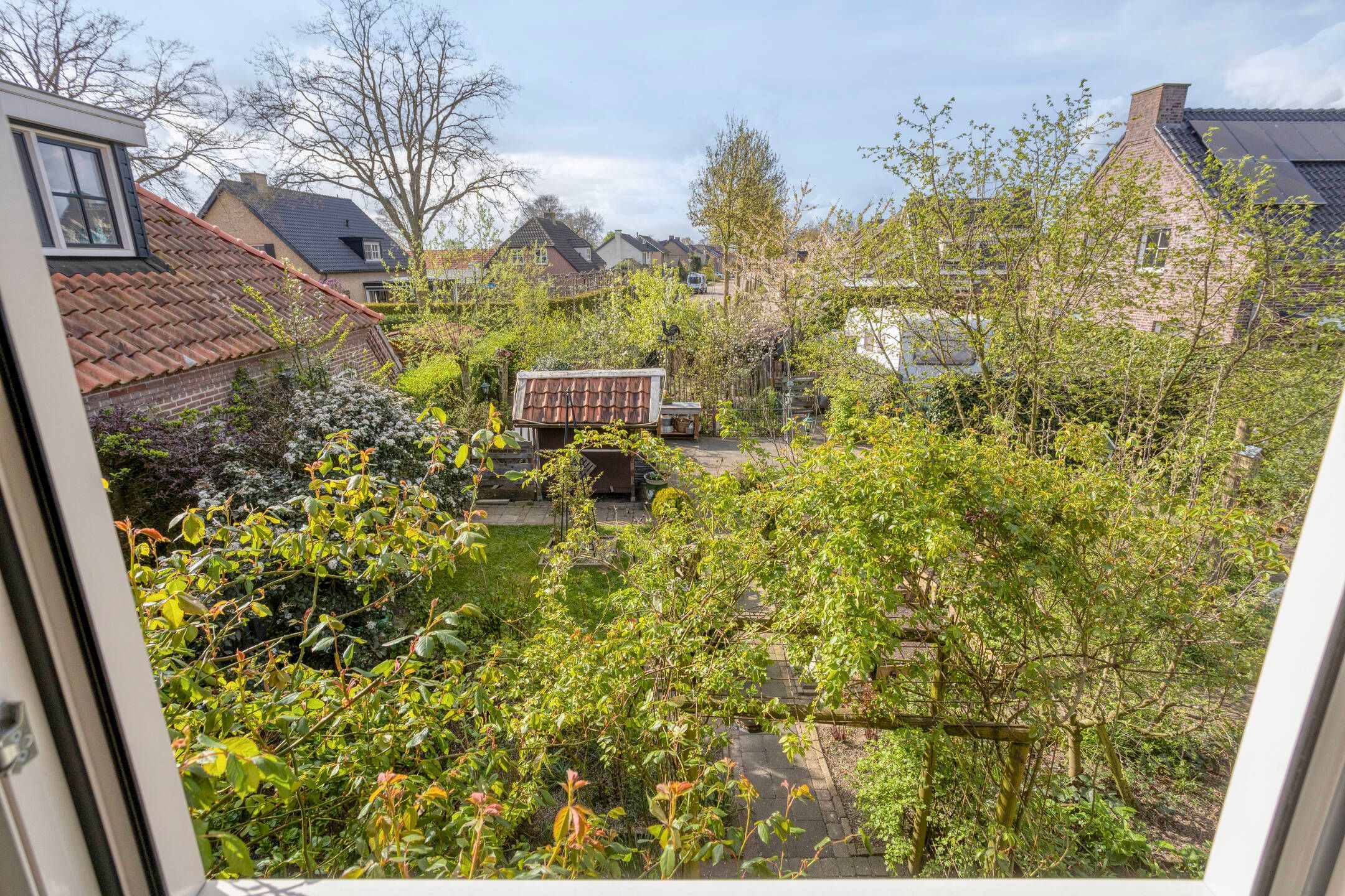 Foto 24 van Boskamp 9