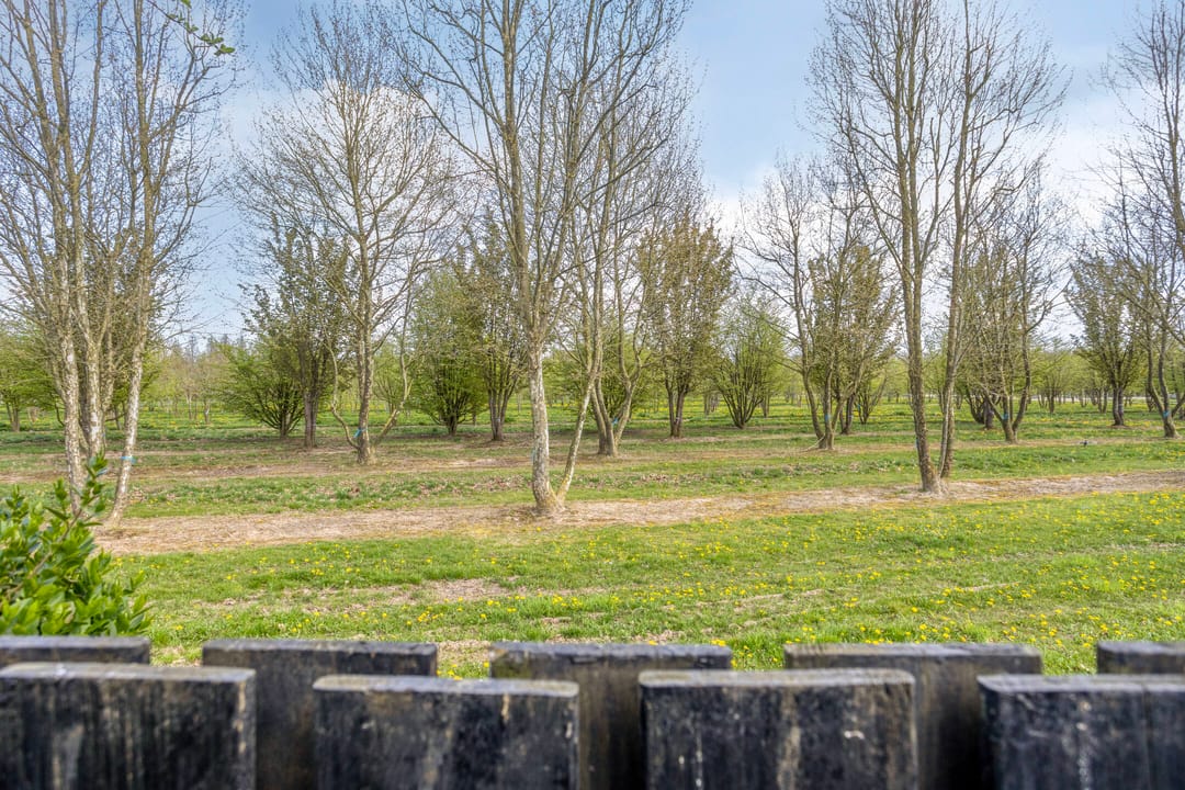 Foto 52 van Boskamp 9