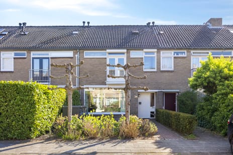 Schepenenstraat thumbnail