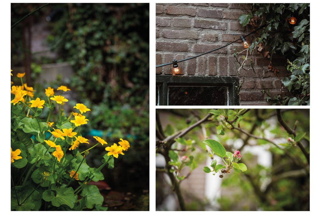 Foto 26 van Piuslaan 103