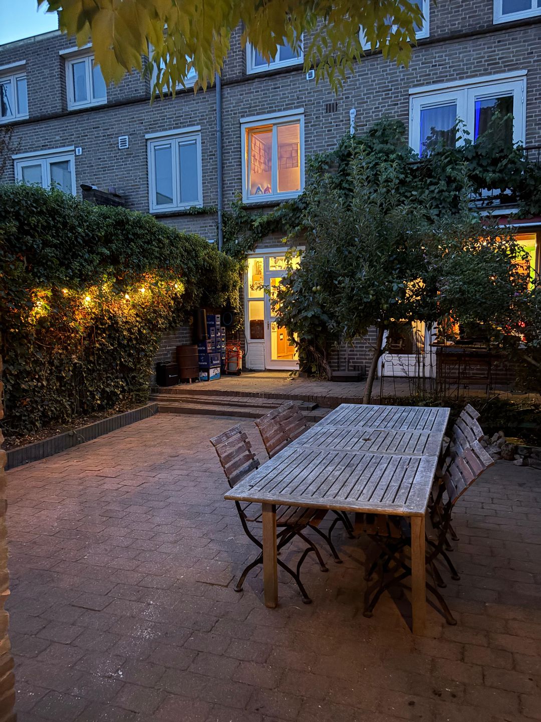 Foto 28 van Piuslaan 103