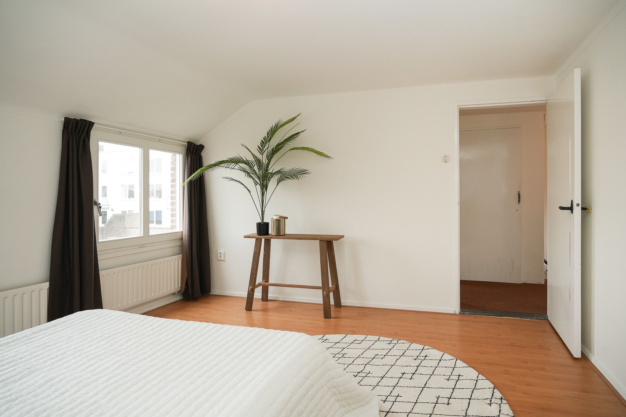 Foto 42 van Piuslaan 103