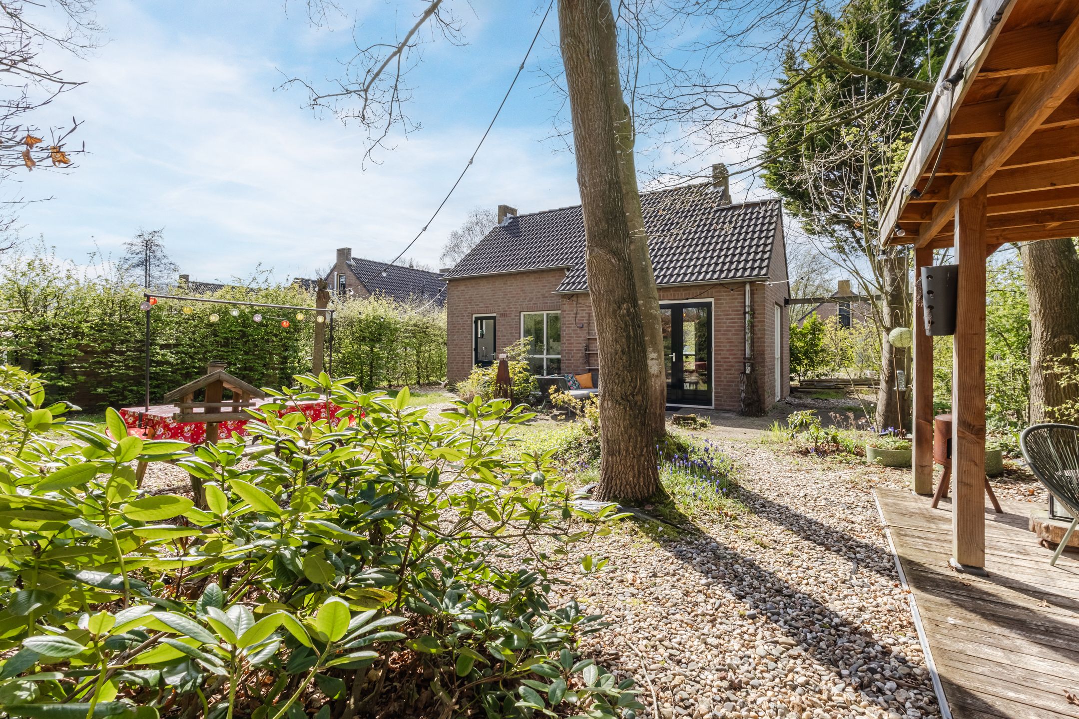 Foto 6 van Groene Heuvels 70