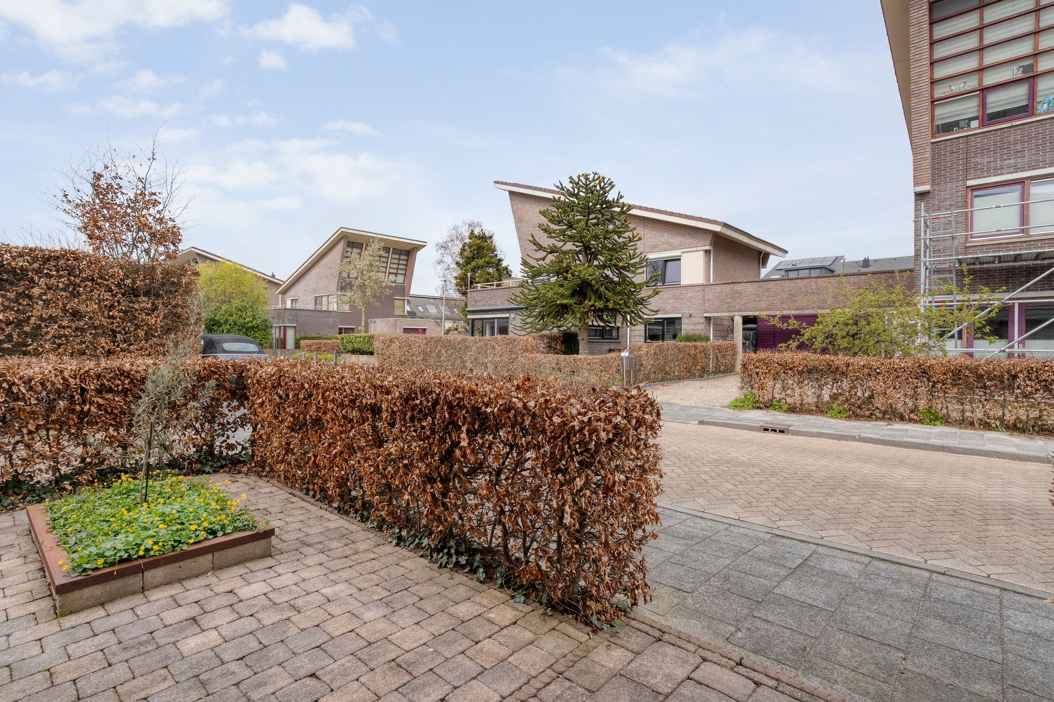 Foto 57 van De Maat 6