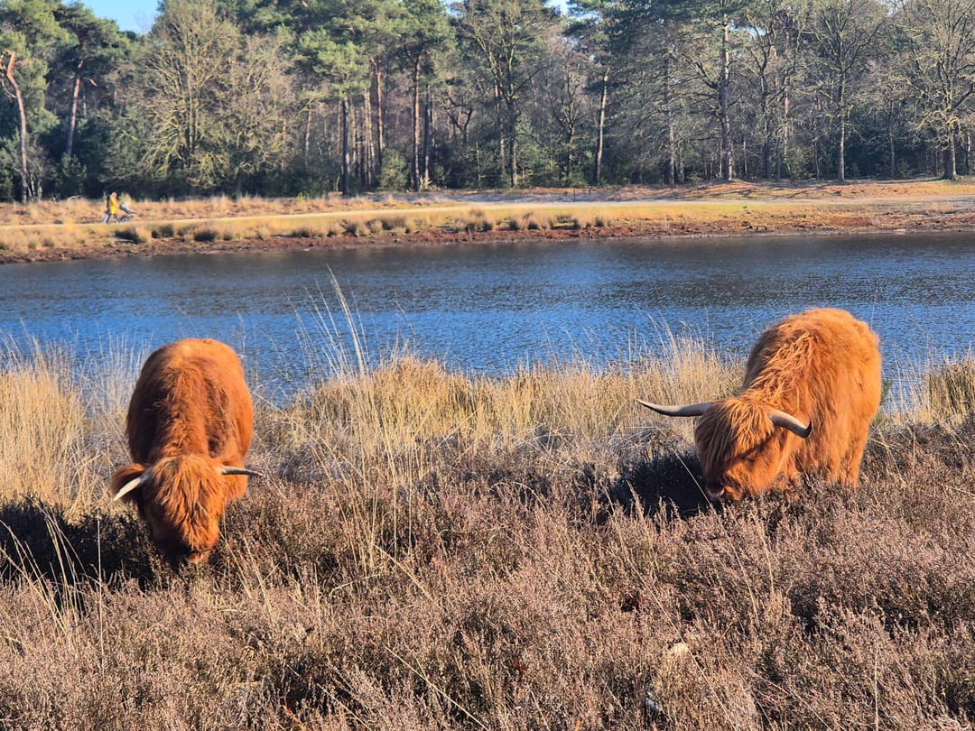 Photo 7 of Haspelstraat 8