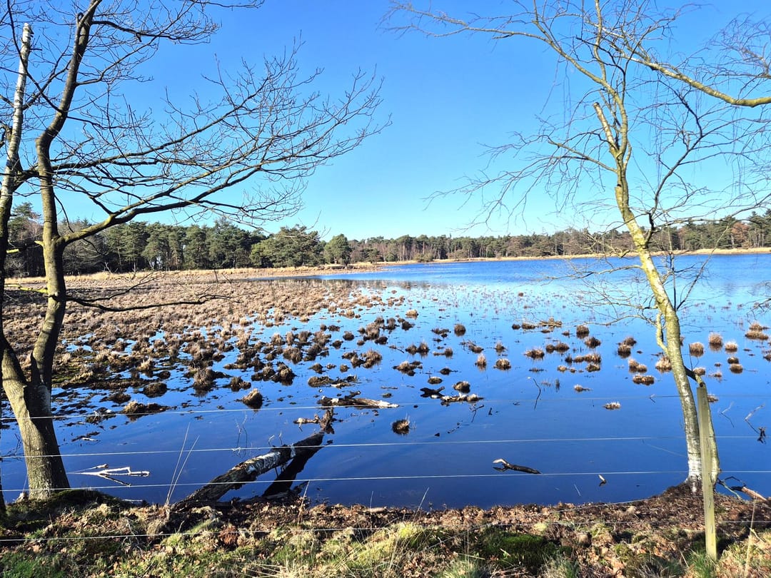 Photo 8 of Haspelstraat 8