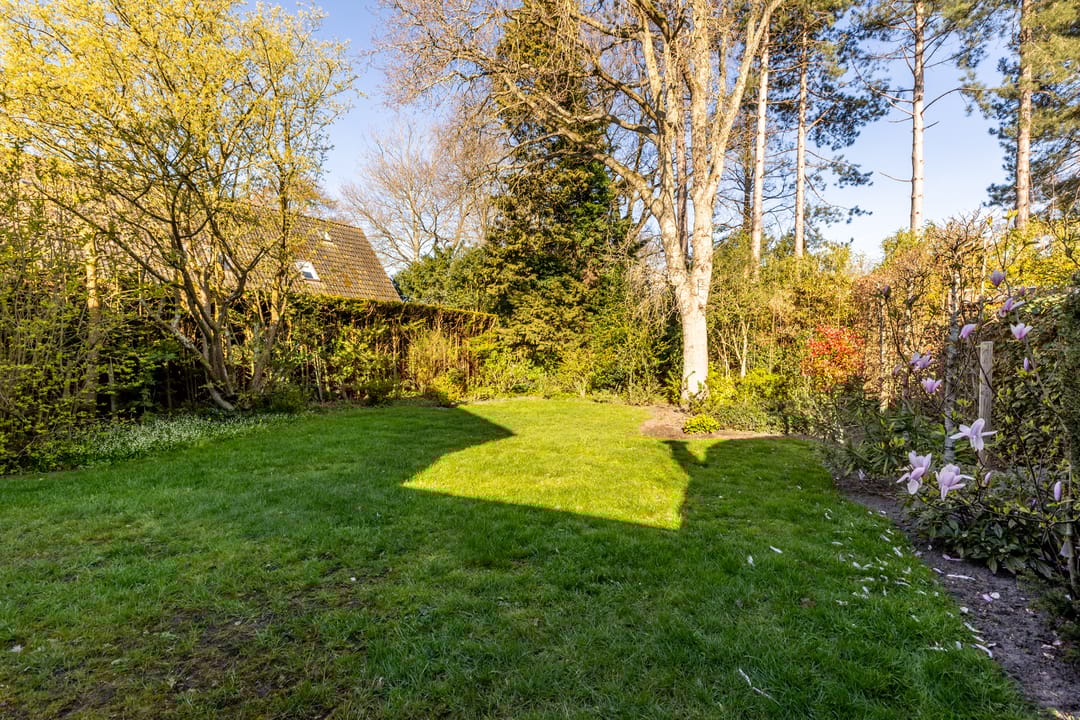 Foto 31 van Nachtegalenlaan 32