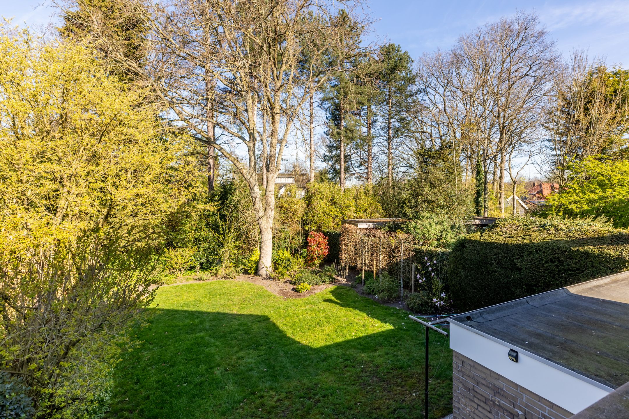 Foto 18 van Nachtegalenlaan 32