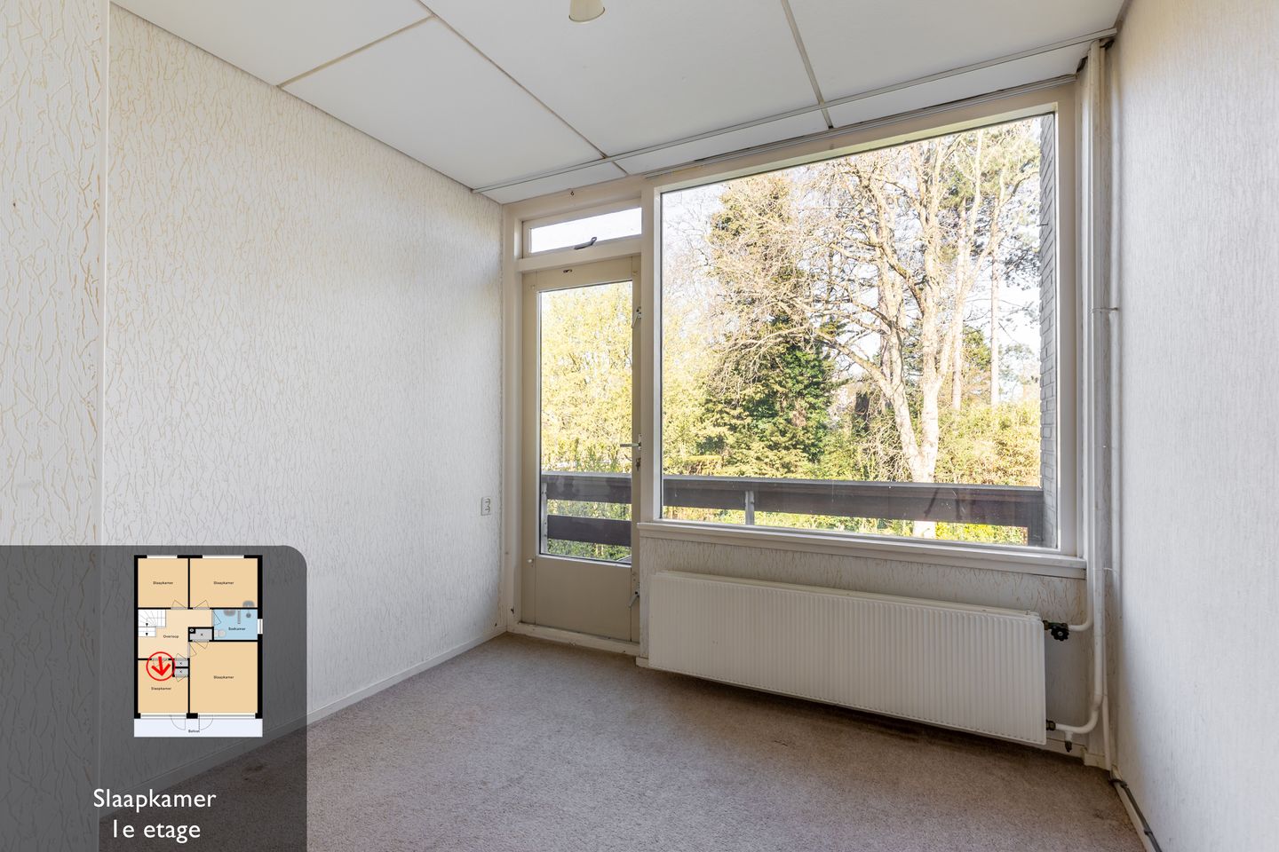 Foto 20 van Nachtegalenlaan 32