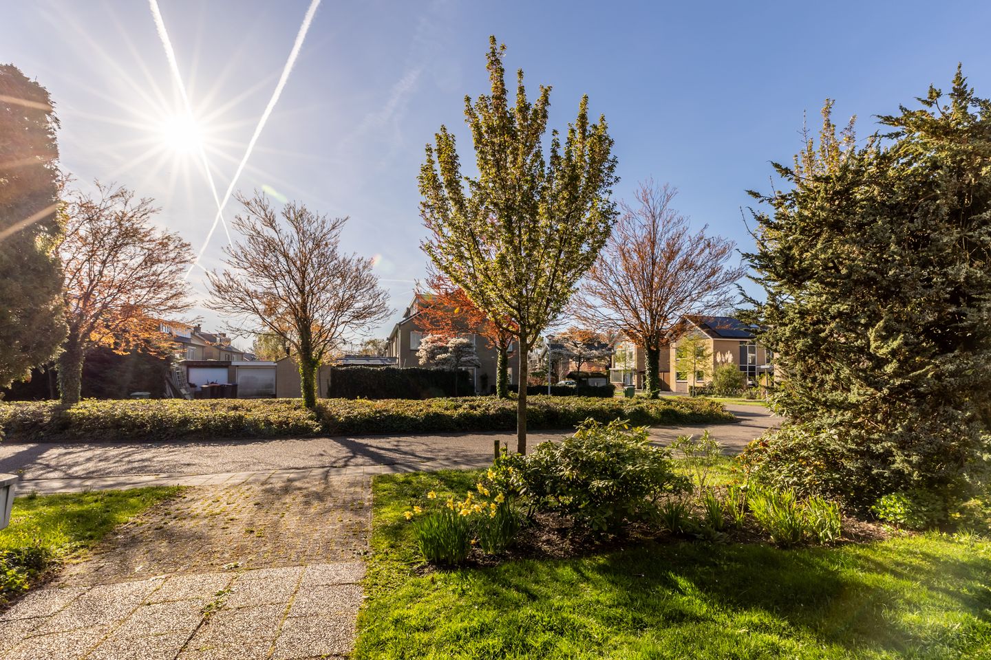 Foto 34 van Nachtegalenlaan 32