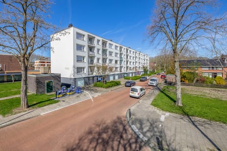 undefined main image