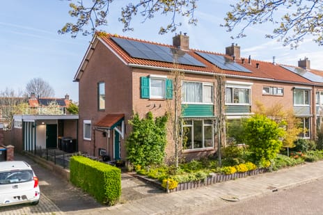 van Hogendorplaan thumbnail