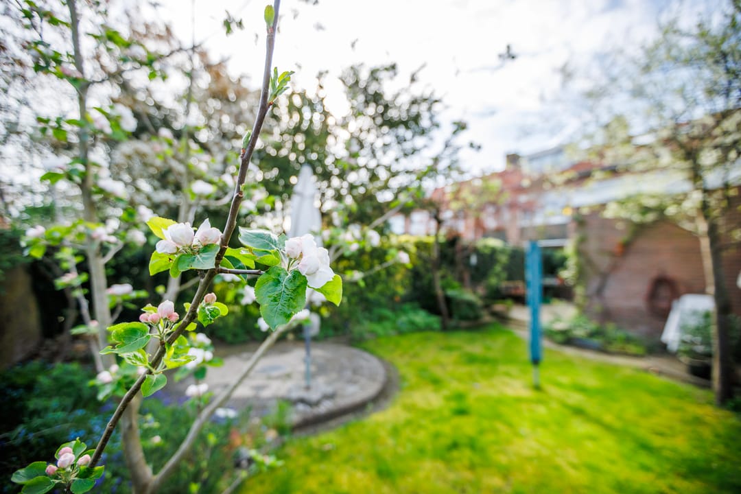 Photo 22 of van Hogendorplaan 71