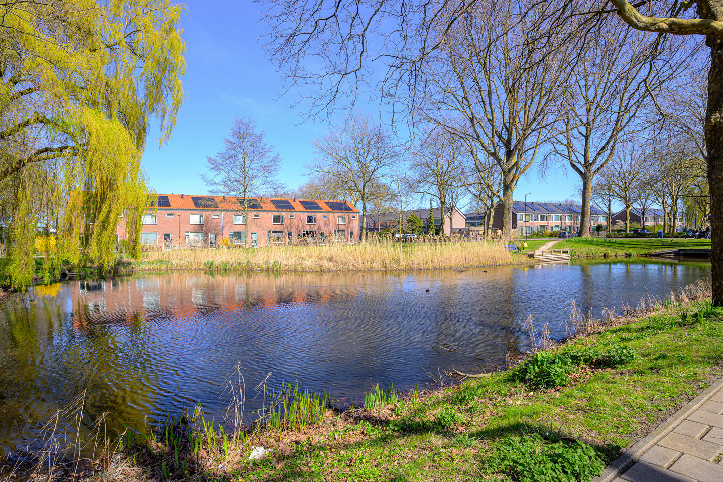 Foto 34 van Frans Halsstraat 4