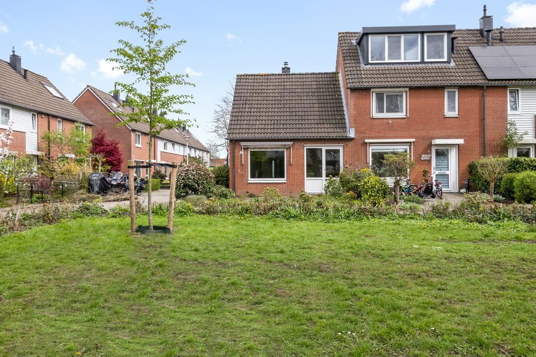 Foto 2 van Roerdompweide 2