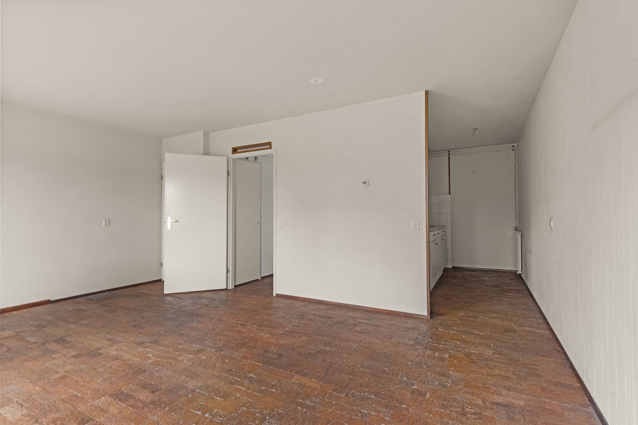 Foto 9 van Roerdompweide 2