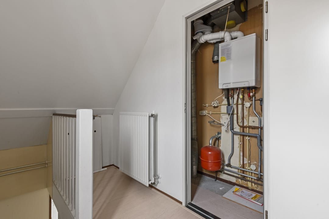 Foto 17 van Roerdompweide 2