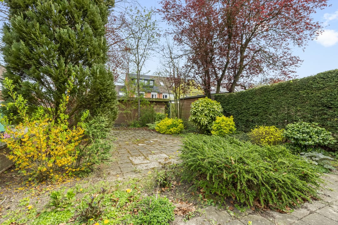 Foto 23 van Roerdompweide 2